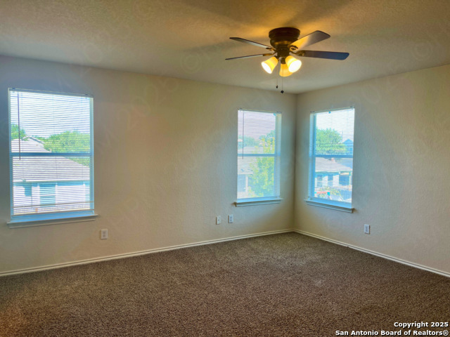 Image 12 of 21 For 11027 Chicory Field
