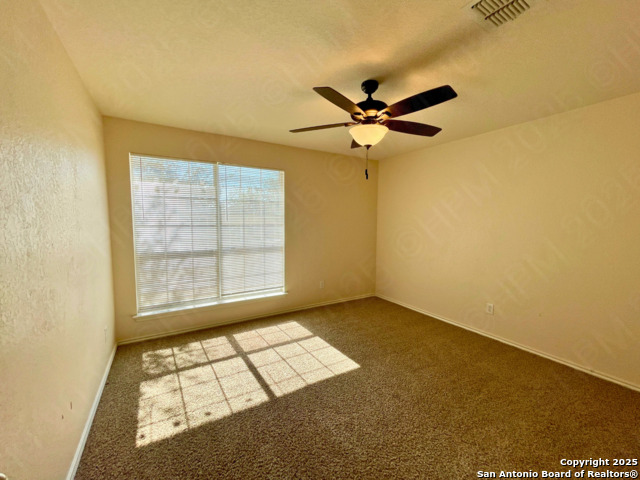 Image 15 of 21 For 11027 Chicory Field