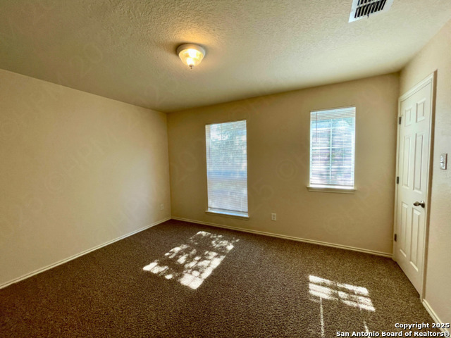 Image 17 of 21 For 11027 Chicory Field