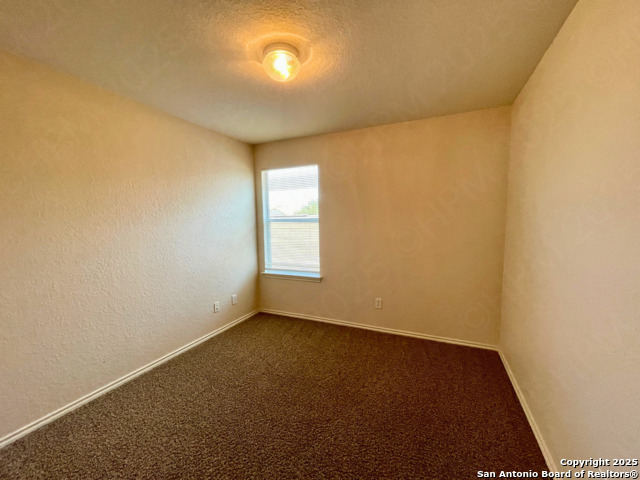 Image 18 of 21 For 11027 Chicory Field