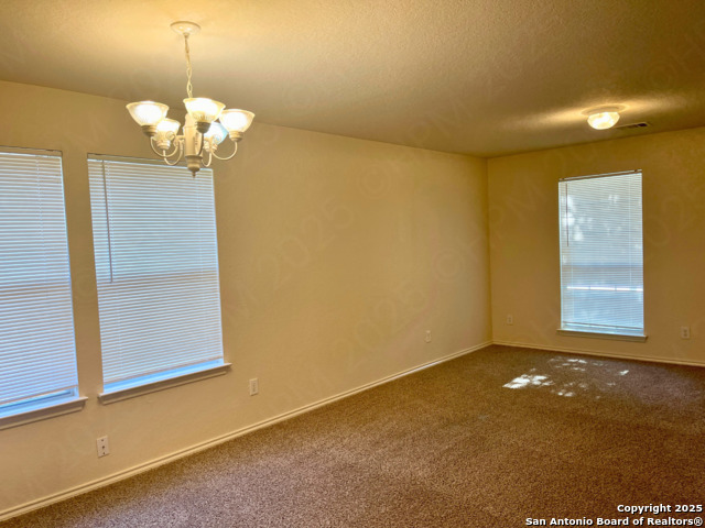 Image 6 of 21 For 11027 Chicory Field