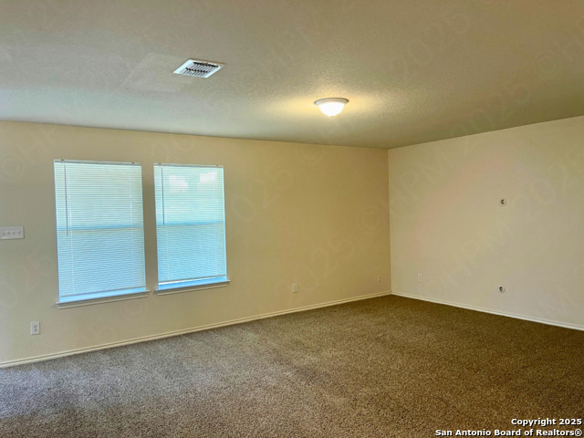 Image 7 of 21 For 11027 Chicory Field