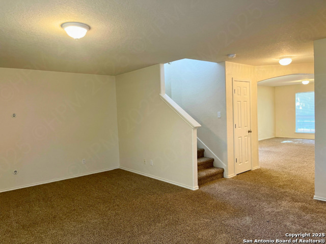 Image 8 of 21 For 11027 Chicory Field