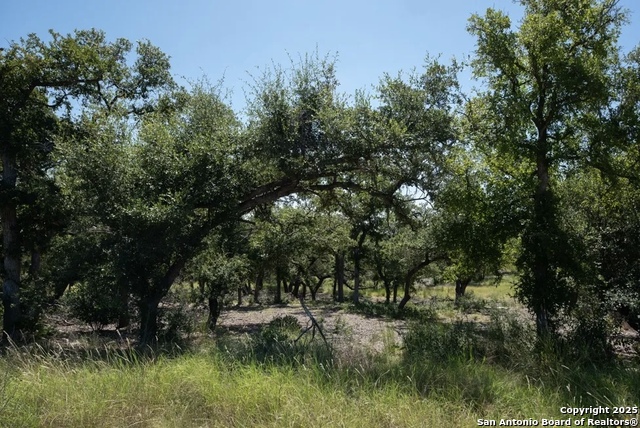 Image 4 of 10 For 1025 Earle Oak