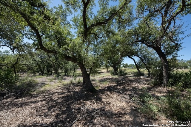 Image 5 of 10 For 1025 Earle Oak