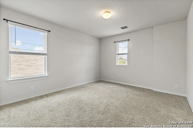 Image 17 of 32 For 13340 Hackney Pony