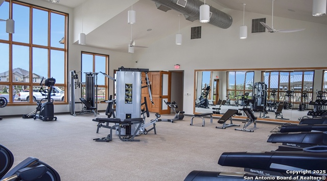 Image 28 of 32 For 13340 Hackney Pony