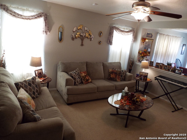 Image 6 of 21 For 7 Moondance