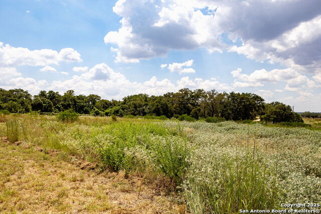 Image 18 of 24 For 646 Old Colony