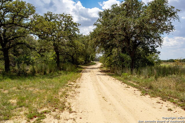 Image 19 of 24 For 646 Old Colony