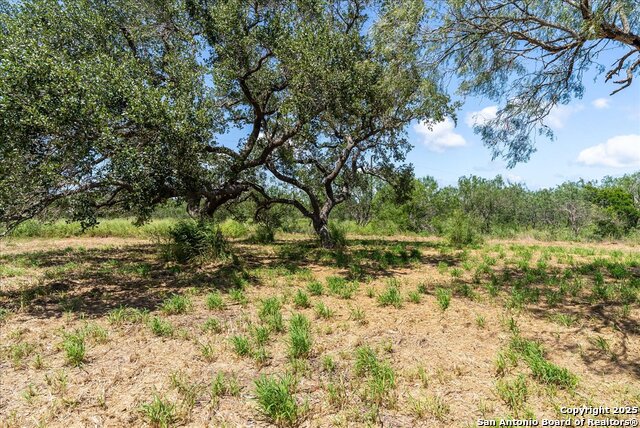 Image 3 of 13 For 000 Off Hwy 181 S