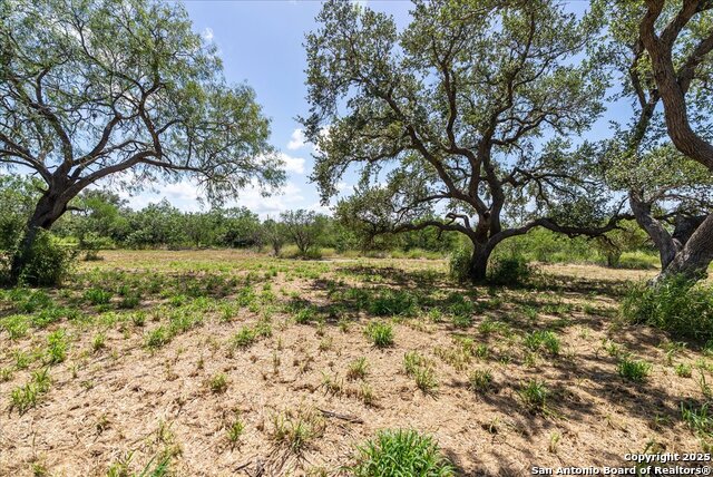 Image 4 of 13 For 000 Off Hwy 181 S