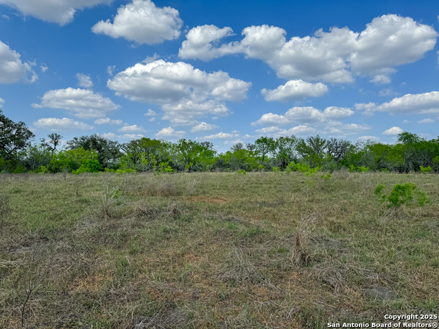 Image 10 of 18 For 00 King Lane