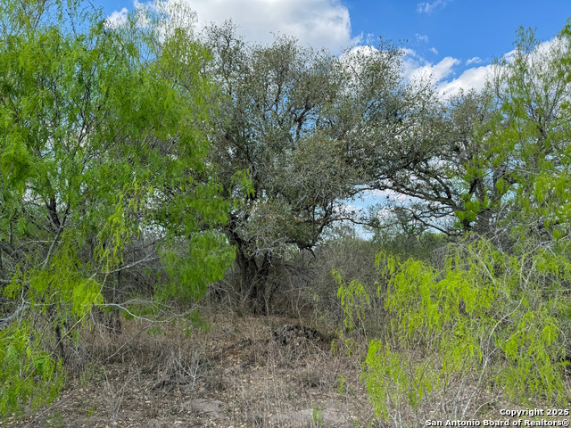 Image 11 of 18 For 00 King Lane