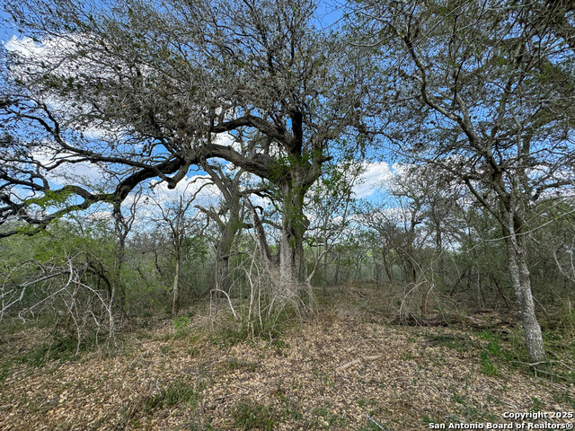 Image 12 of 18 For 00 King Lane