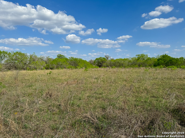 Image 13 of 18 For 00 King Lane