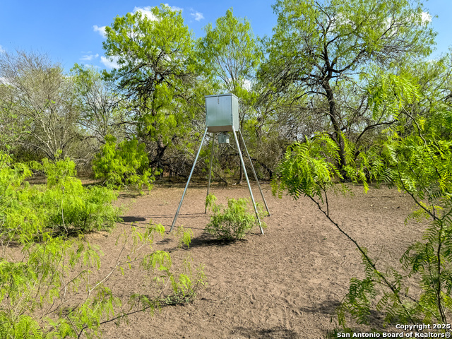 Image 14 of 18 For 00 King Lane