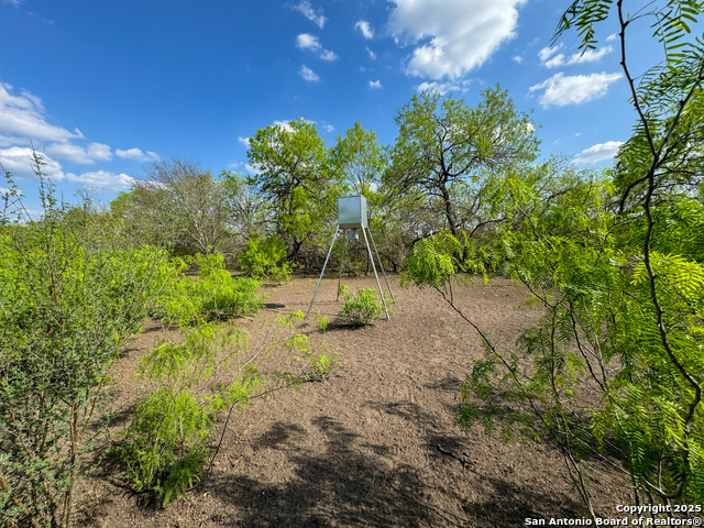 Image 15 of 18 For 00 King Lane