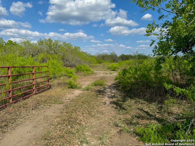 Image 16 of 18 For 00 King Lane