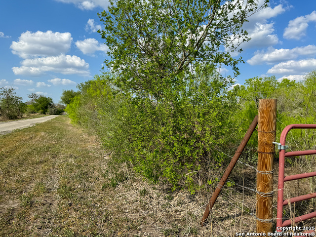 Image 17 of 18 For 00 King Lane