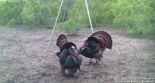 Image 3 of 18 For 00 King Lane