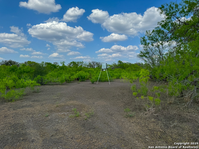 Image 4 of 18 For 00 King Lane