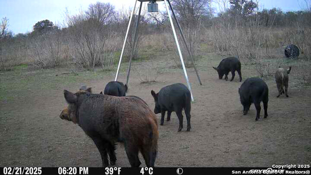 Image 5 of 18 For 00 King Lane