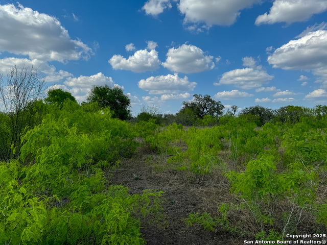 Image 6 of 18 For 00 King Lane