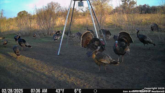 Image 7 of 18 For 00 King Lane