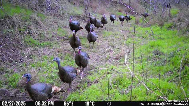 Image 9 of 18 For 00 King Lane