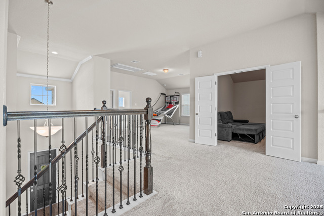 Image 26 of 41 For 12835 Tibetta