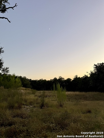 Image 3 of 15 For 1043 Summit