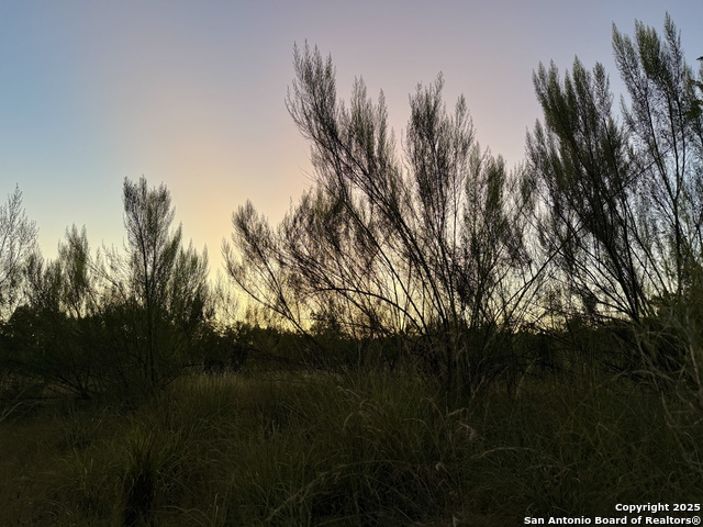 Image 11 of 15 For 1059 Summit  