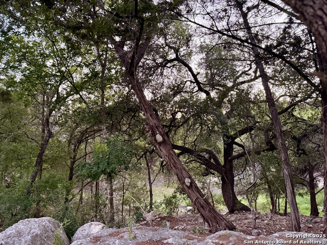 Image 2 of 15 For 1059 Summit  