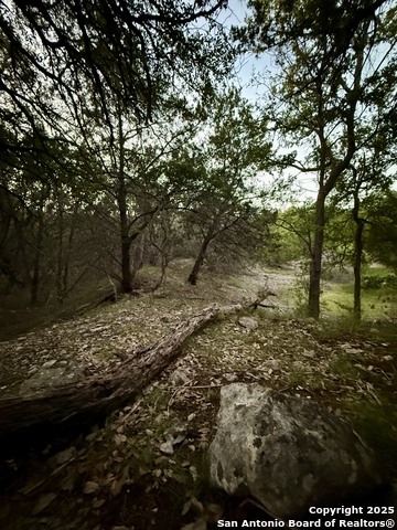 Image 5 of 15 For 1059 Summit  