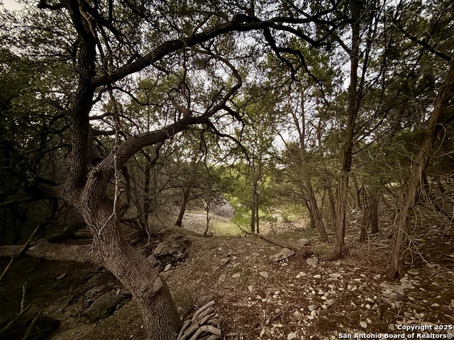 Image 6 of 15 For 1059 Summit  