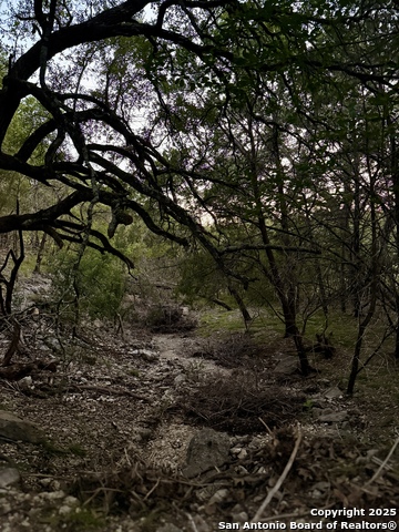 Image 7 of 15 For 1059 Summit  