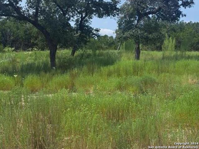 Listing photo id 0 for 1064 Ken Wayne