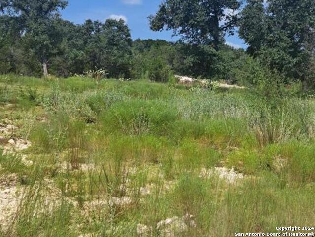 Listing photo id 1 for 1064 Ken Wayne