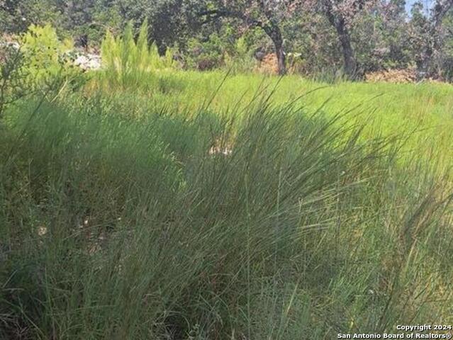 Listing photo id 2 for 1064 Ken Wayne