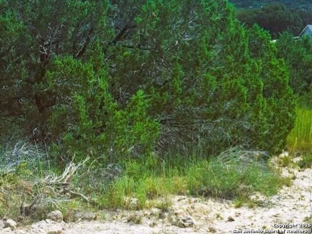 Details for 00 Ken Wayne, Spring Branch, TX 78070