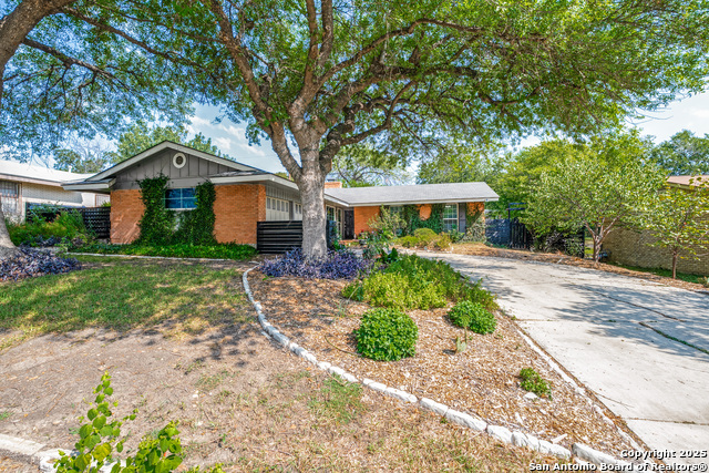 Listing photo id 0 for 703 Coronet