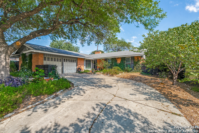 Listing photo id 1 for 703 Coronet