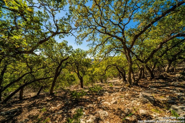 Image 13 of 27 For 277 Stablewood Springs