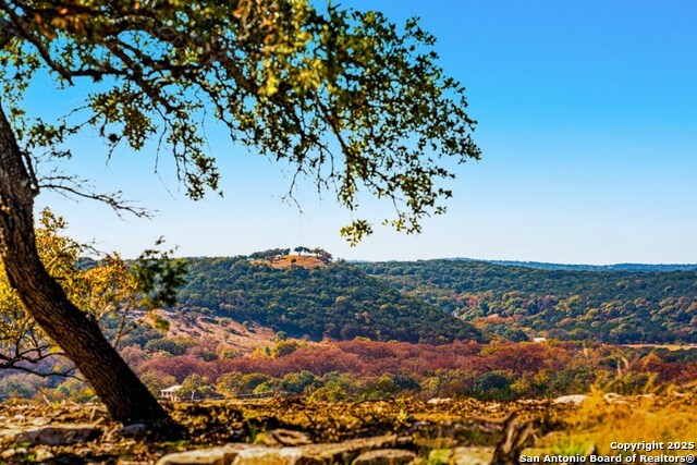 Image 2 of 27 For 277 Stablewood Springs