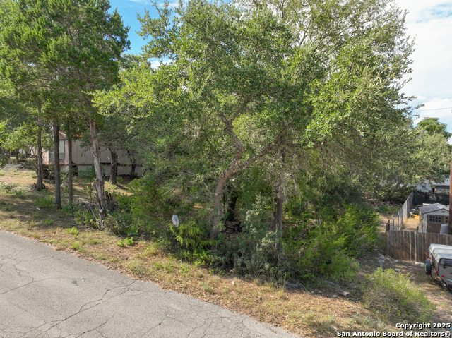 Image 3 of 15 For 338 Grey Fawn