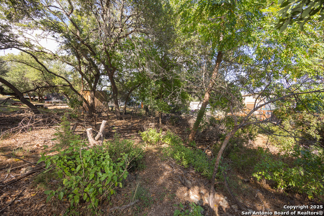 Image 6 of 15 For 338 Grey Fawn