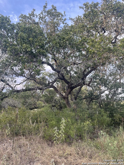 Details for Tbd County Road 265, Mico, TX 78056