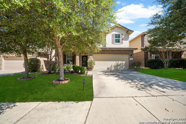 Details for 12418 Painted Daisy, San Antonio, TX 78253