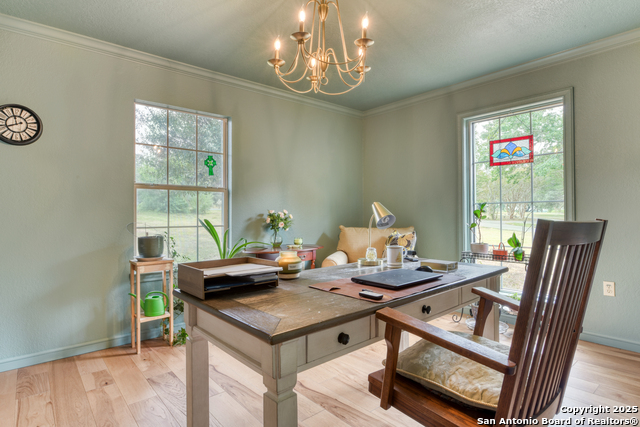 Image 10 of 54 For 510 Rudeloff